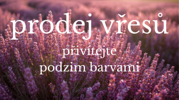 Přivítejte podzim barvami