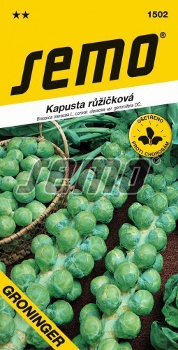 Kapusta růžičková - GRONINGER