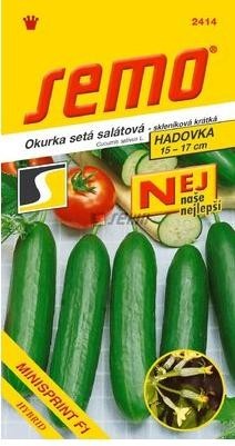 Okurka salátová - MINISPRINT F1