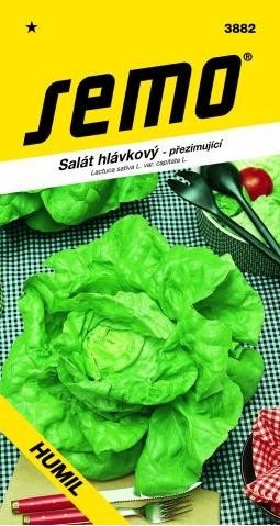 Salát hlávkový - HUMIL (ozimý)