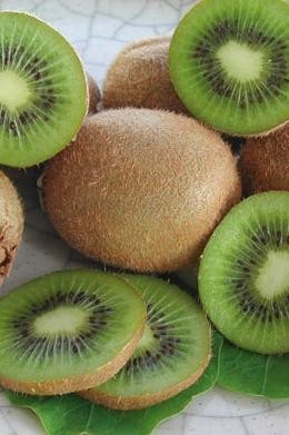 KIWI - Actinidia deliciosa HAYWARD - samice