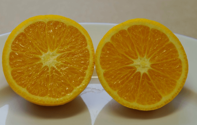 Pomeranč HARAGUCHI