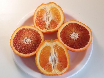 Pomeranč SANGUINELLO