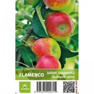 Jabloň sloupovitá FLAMENCO - M7 Jabloň sloupovitá FLAMENCO - M7