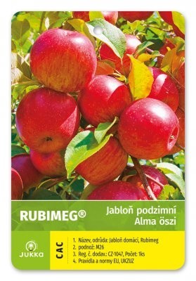 Jabloň RUBIMEG® - M26 Jabloň RUBIMEG® - M26