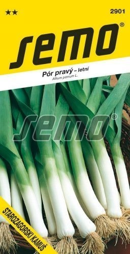 Pór - STAROZAGORSKI KAMUŠ - výprodej semen ex. 2024