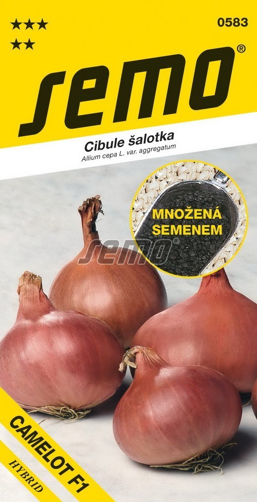 Cibule - CAMELOT F1 (šalotka) výprodej semena 2024