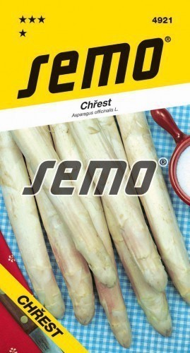 Chřest - ARGENTEUIL - výprodej semen ex. 2024