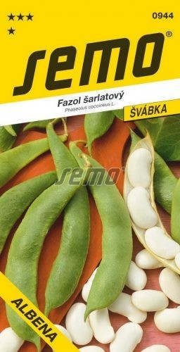 Fazol tyčkový bílý - ALBENA
