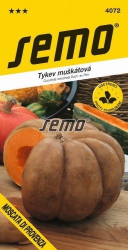 Tykev muškátová (máslová) MOSCATA DI PROVENZA