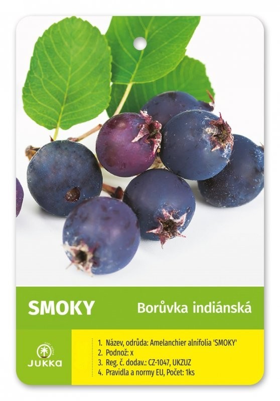 Muchovník olšolistý SMOKY -K 3
