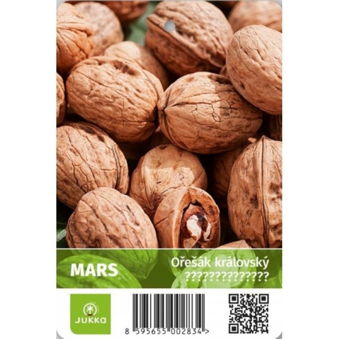 Ořešák vlašský MARS Ořešák vlašský MARS