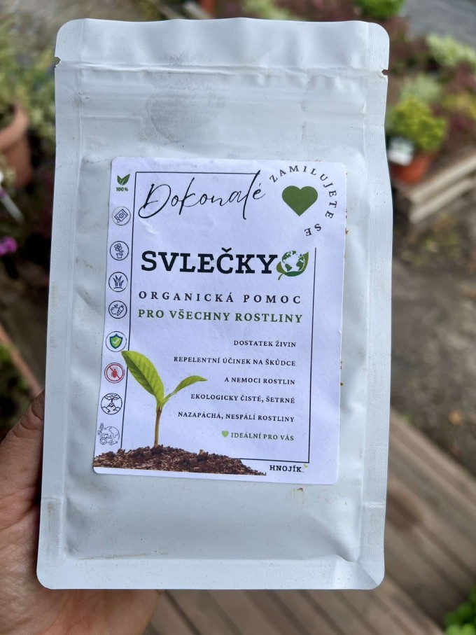 SVLEČKY