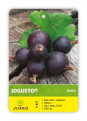 Josta JOGUSTO