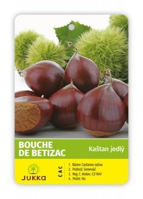 Kaštanovník setý BOUCHE DE BETIZAC