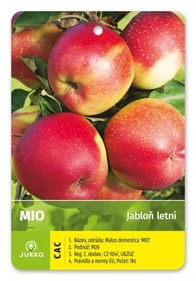 Jabloň MIO - A2