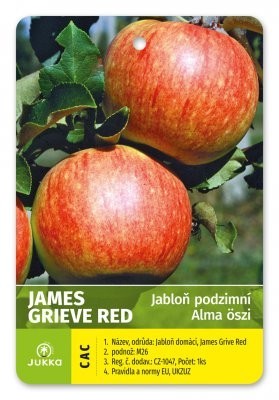 Jabloň JAMES GRIEVE RED - A2