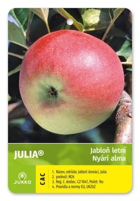 Jabloň JULIE - M26