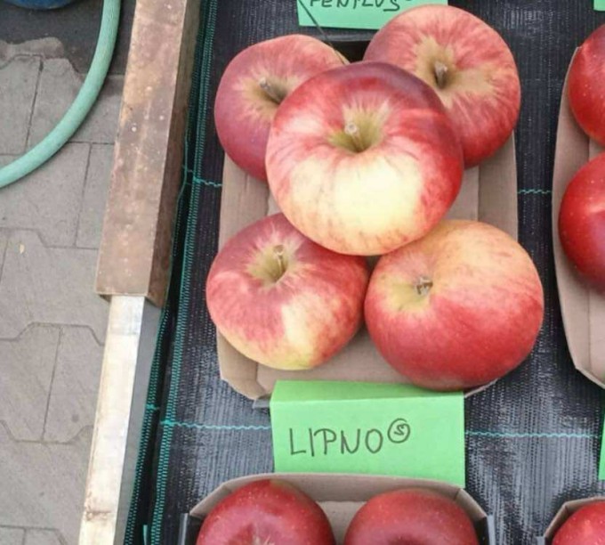 Jabloň LIPNO® - M26