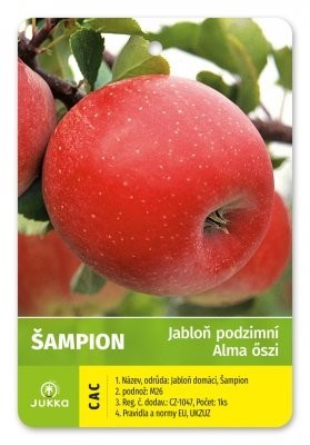 Jabloň ŠAMPION - M26