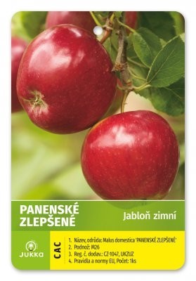 Jabloň PANENSKÉ ZLEPŠENÉ - M26