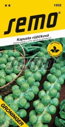 Kapusta růžičková - GRONINGER