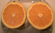 Pomeranč HAMLIN