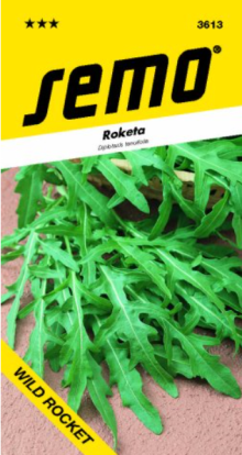 Roketa WILD ROCKET