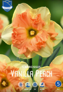 Narcis VANILLA PEACH 3ks