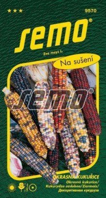 Kukuřice - okrasná MULTICOLOR
