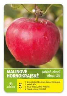 Jabloň MALINOVÉ HORNOKRAJSKÉ - M26 Jabloň MALINOVÉ HORNOKRAJSKÉ - M26