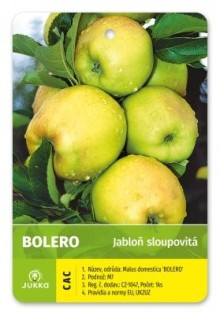 Jabloň sloupovitá BOLERO - M7 Jabloň sloupovitá BOLERO - M7