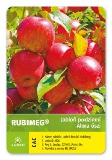 Jabloň RUBIMEG® - M26 Jabloň RUBIMEG® - M26