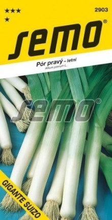 Pór - GIGANTE SUIZO - letní výprodej semen ex. 2024