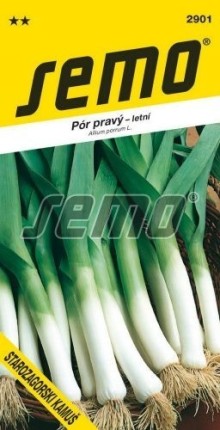 Pór - STAROZAGORSKI KAMUŠ - výprodej semen ex. 2024