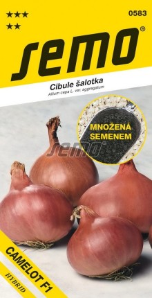 Cibule - CAMELOT F1 (šalotka) výprodej semena 2024
