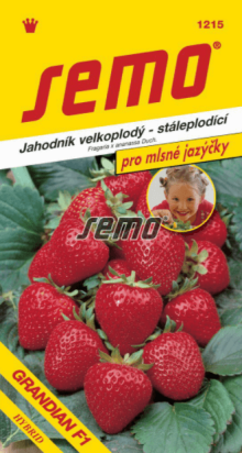 Jahodník GRANDIAN F1 - výprodej semen ex. 2024