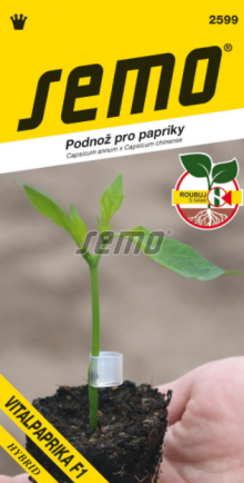 Vitalpaprika F1 - podnož k roubování paprik - výprodej semen ex. 2024