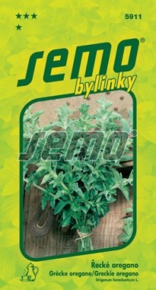 Řecké OREGANO - Origanum heracleoticum - výprodej semen ex. 2024