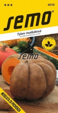 Tykev muškátová (máslová) MOSCATA DI PROVENZA