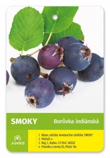 Muchovník olšolistý SMOKY -K 0,5