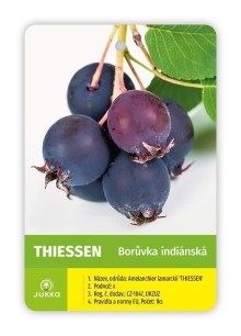 Muchovník olšolistý THIESSEN - K2