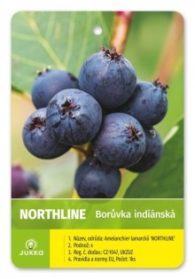 Muchovník olšolistý NORTHLINE