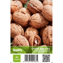 Ořešák vlašský MARS Ořešák vlašský MARS