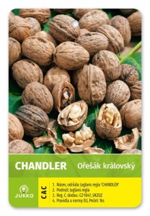 Ořešák vlašský CHANDLER