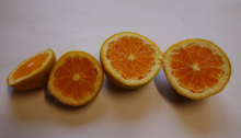 Mandarinka ´MIČURINEC´