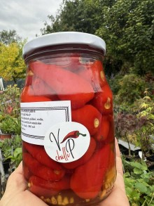 Chilli směs pestrá