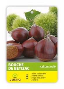 Kaštanovník setý BOUCHE DE BETIZAC