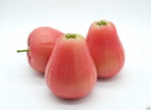 Jabloň ČESKÁ POCHOUTKA - M26