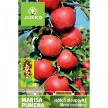Jabloň MARISA RUMENA